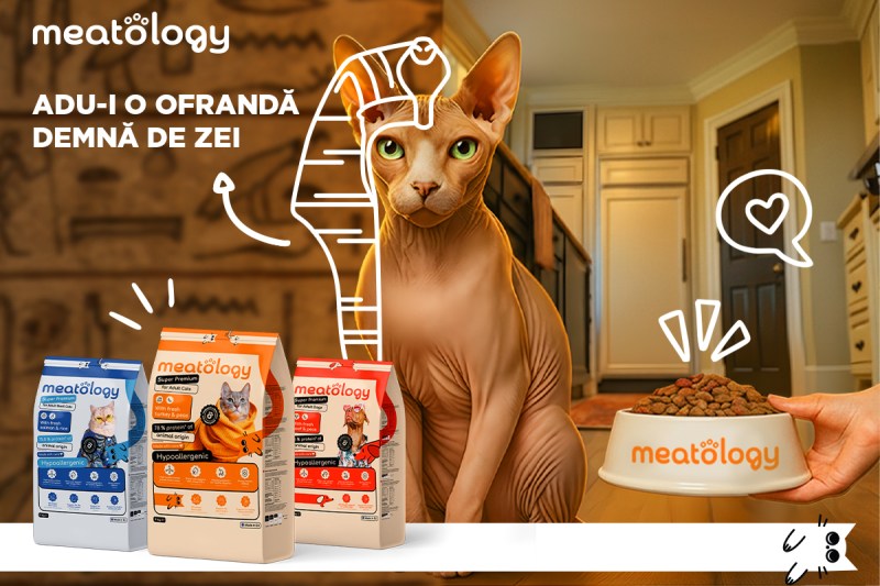 [P] Meatology: brandul românesc super premium cu un model de business bazat pe expertiză medicală și formulare responsabilă