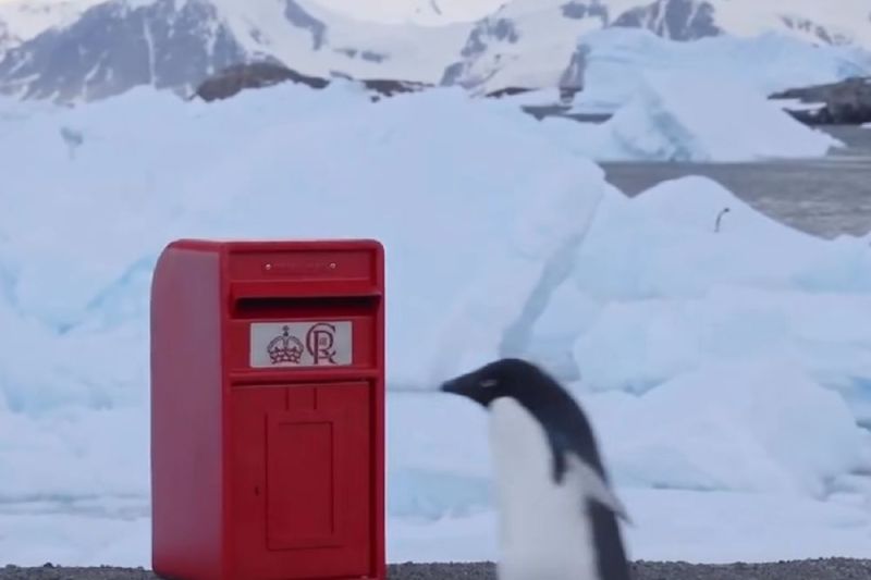 VIDEO Cum a ajuns o cutie a Poștei Regale britanice în Antarctica