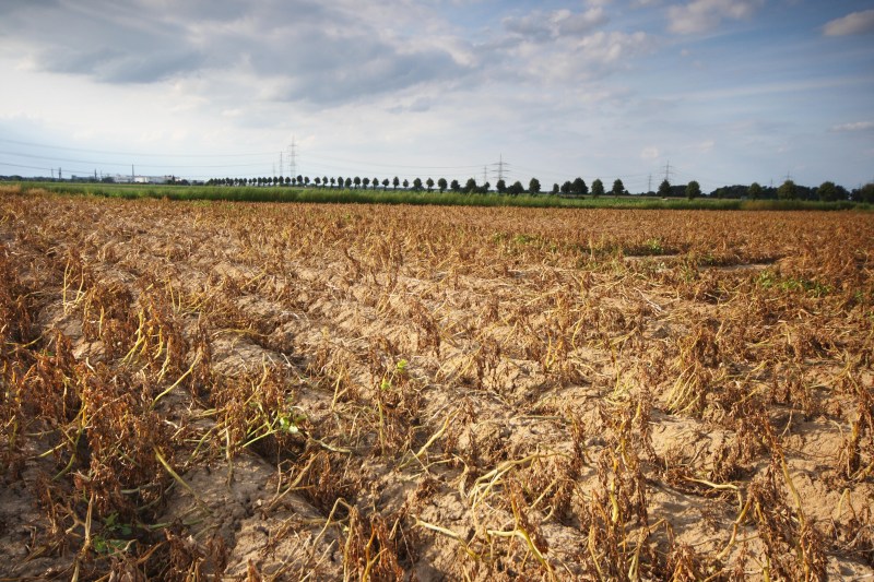 Continentele Pământului pierd apă dulce într-un ritm alarmant, avertizează un raport al Băncii Mondiale