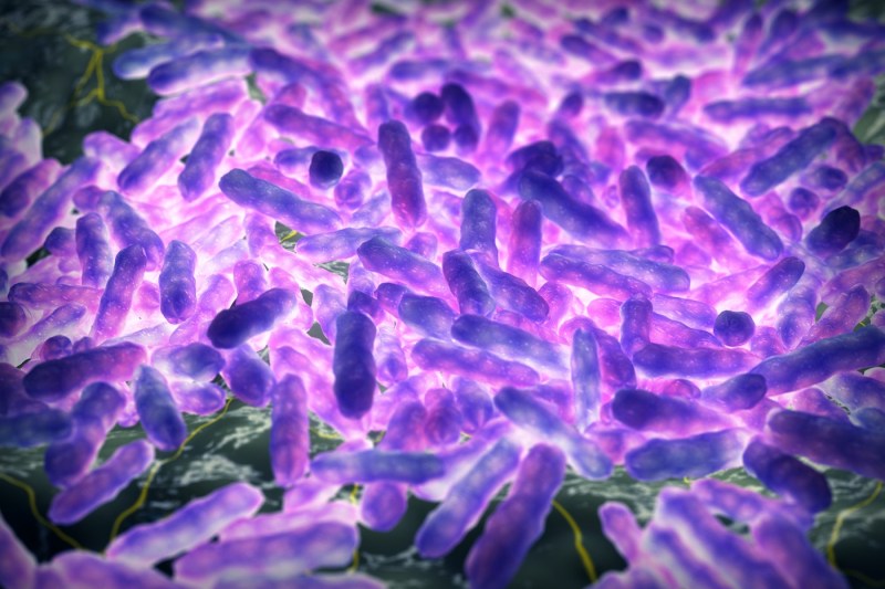 Primul caz de lepră confirmat în România după mai bine de 40 de ani. Alte trei cazuri, în curs de evaluare / Ce spune ministrul Sănătății despre riscul răspândirii bolii