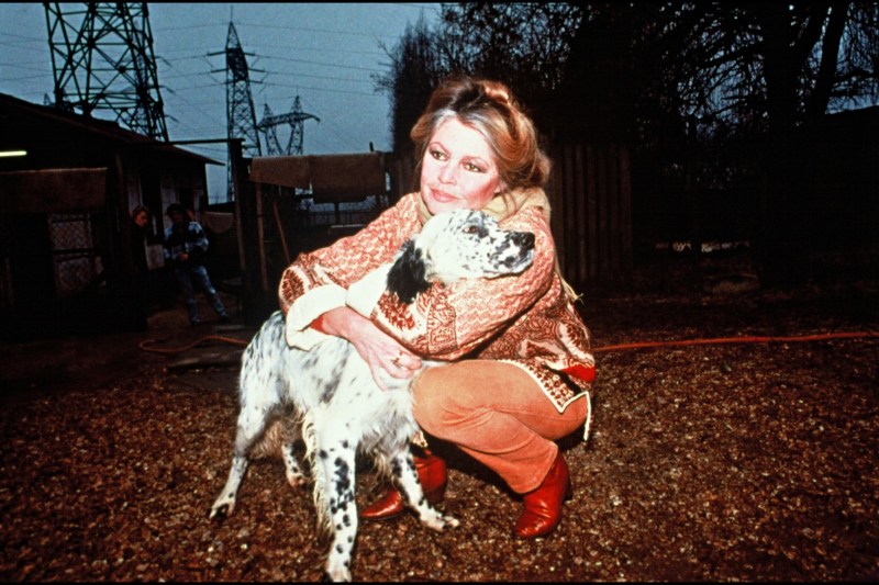 Mesajul pe care Brigitte Bardot a ținut să-l transmită public, la începutul lunii, despre starea ei de sănătate