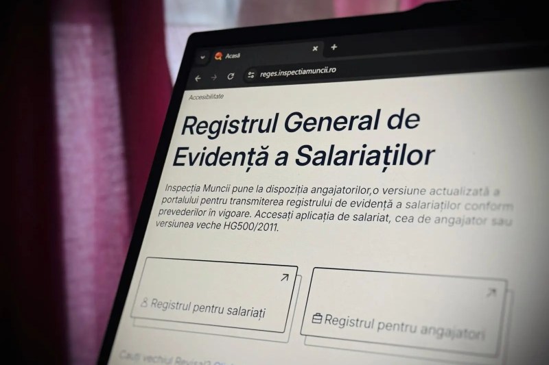 „Nu avem timp, nu mai răbdăm și suntem obosiți”. Antreprenorii și contabilii se plâng că Reges Online a picat și cer prelungirea termenului