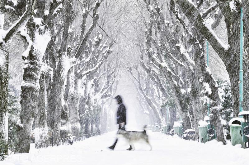 Alerte de vreme severă azi în aproape toată țara. Cod portocaliu și galben de viscol, ger și vânt puternic