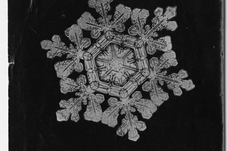 Wilson Bentley, primul fotograf al fulgilor de zăpadă