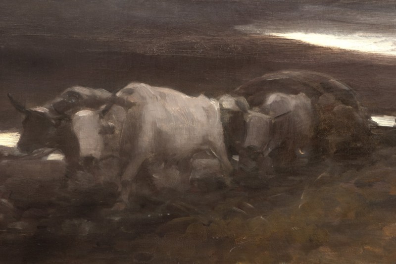 O parte a colecției Darius Vâlcov, conținând între altele o lucrare de Picasso, se vinde prin licitație la Artmark