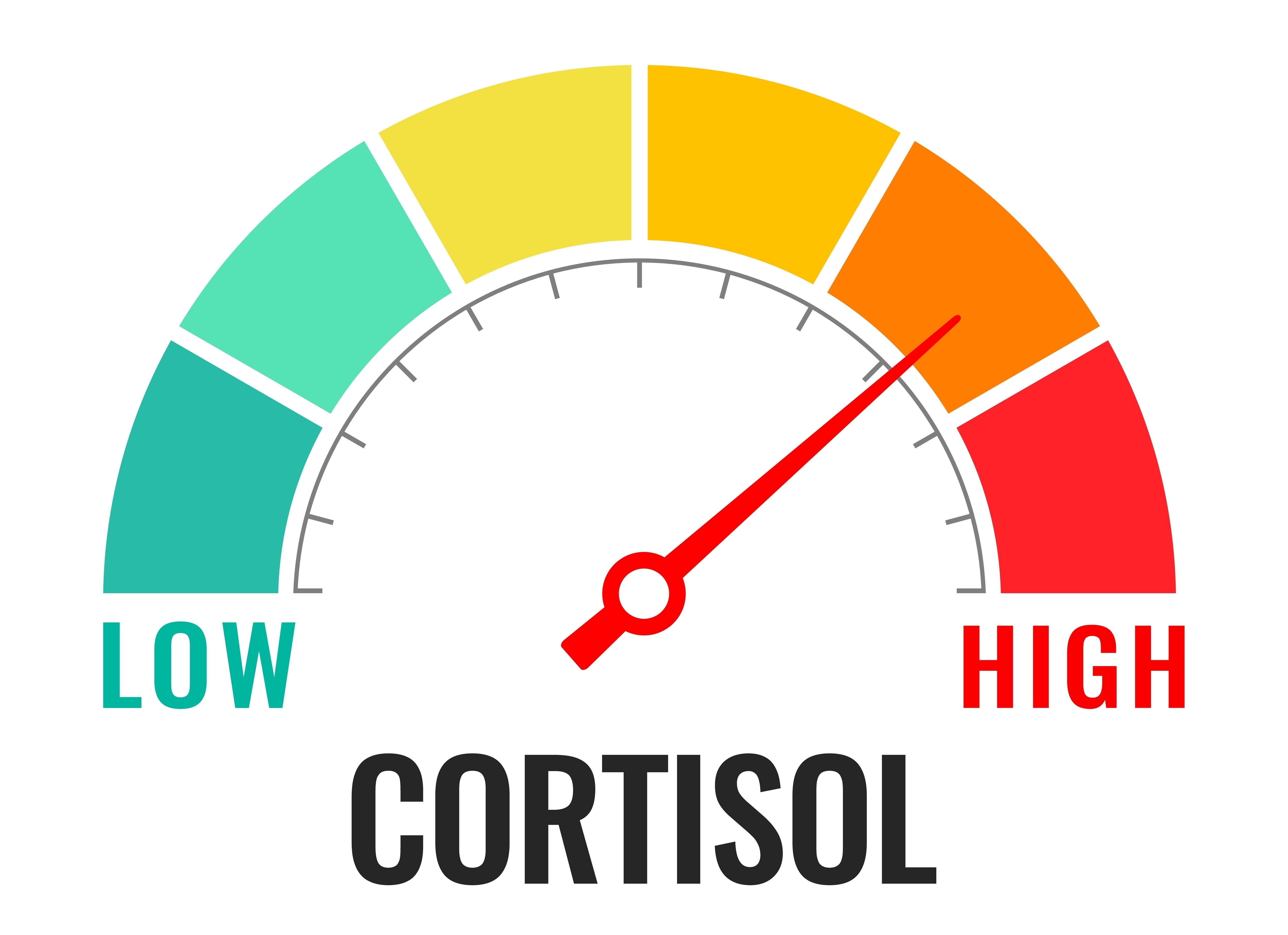 6 alimente care afectează nivelul de stres și ar trebui consumate moderat. Cu ce pot fi înlocuite