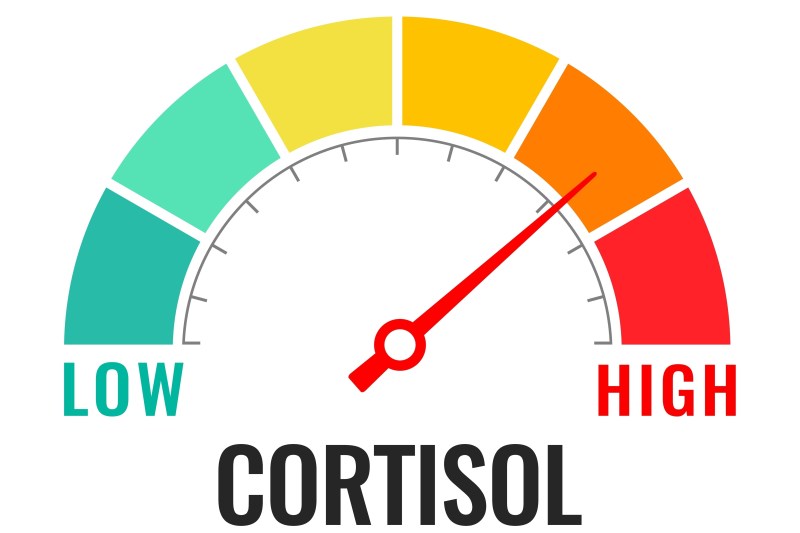 6 alimente care afectează nivelul de stres și ar trebui consumate moderat. Cu ce pot fi înlocuite