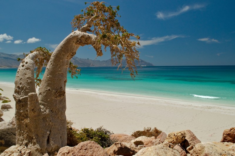 O româncă se află alături de sutele de turiști străini blocați pe o insulă exotică din Yemen. Ce spune despre situație