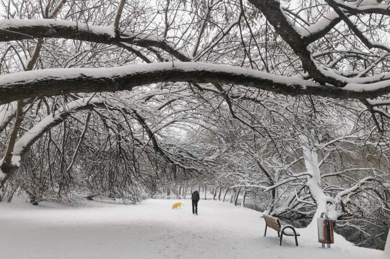 Ninsori, polei și ger în București. Avertizare meteo transmisă în timpul nopții