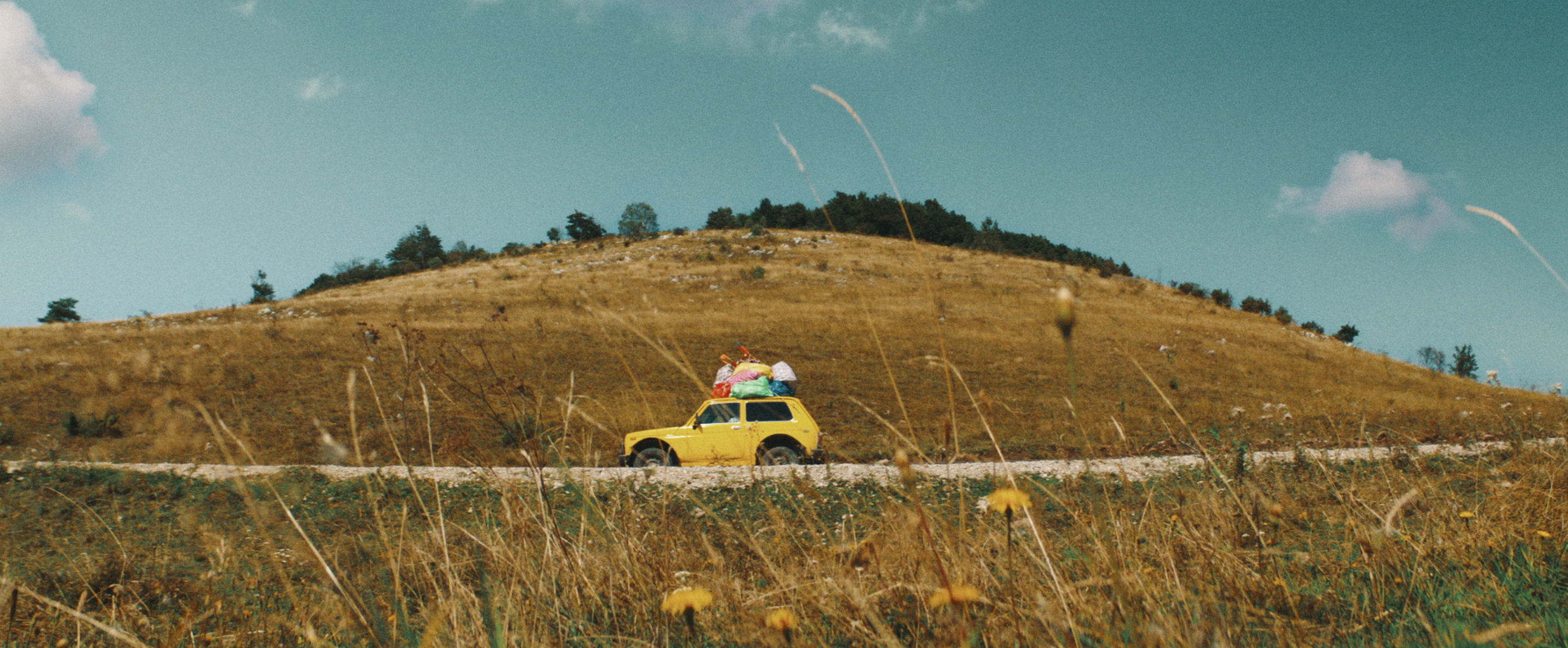 INTERVIU: „Catane”, o comedie neagră, inspirată din fapte reale, despre sărăcie, moralitate și limitele statului. Regizoarea Ioana Mischie: „Ne confruntăm cu o criză majoră a sensului vieții”