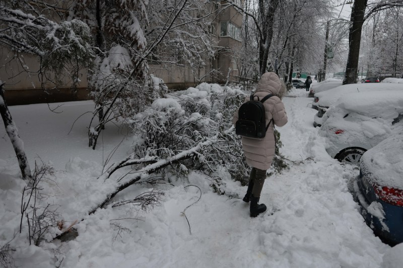 Adolescentă electrocutată pe stradă după ce un copac s-a prăbușit peste firele de tensiune, în București