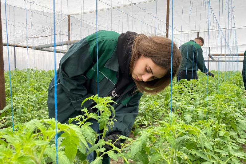 „Tinerii au transformat compania noastră într-una de succes!”