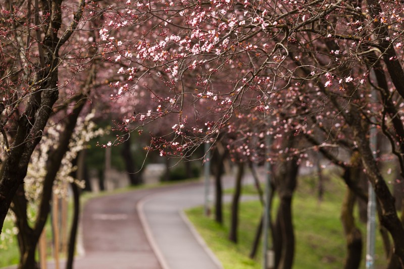 Vremea în România se schimbă radical în martie. Anunțul meteorologilor