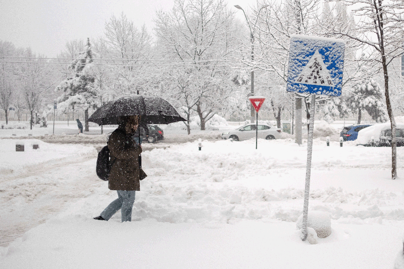 VIDEO Alerte de viscol în București și 12 județe. Cod roșu și mesaj Ro-Alert în timpul nopți, în Capitală și Ilfov, strat de zăpadă de până la 50 cm / Trenuri și zboruri anulate, restricții pe drumuri