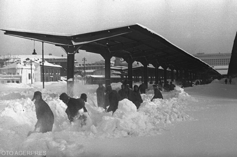 București, în cumplita și umilitoarea iarnă din timpul ocupației germane. După război, când bucureștenilor le-au fost confiscate și plăpumile sub amenințarea armei