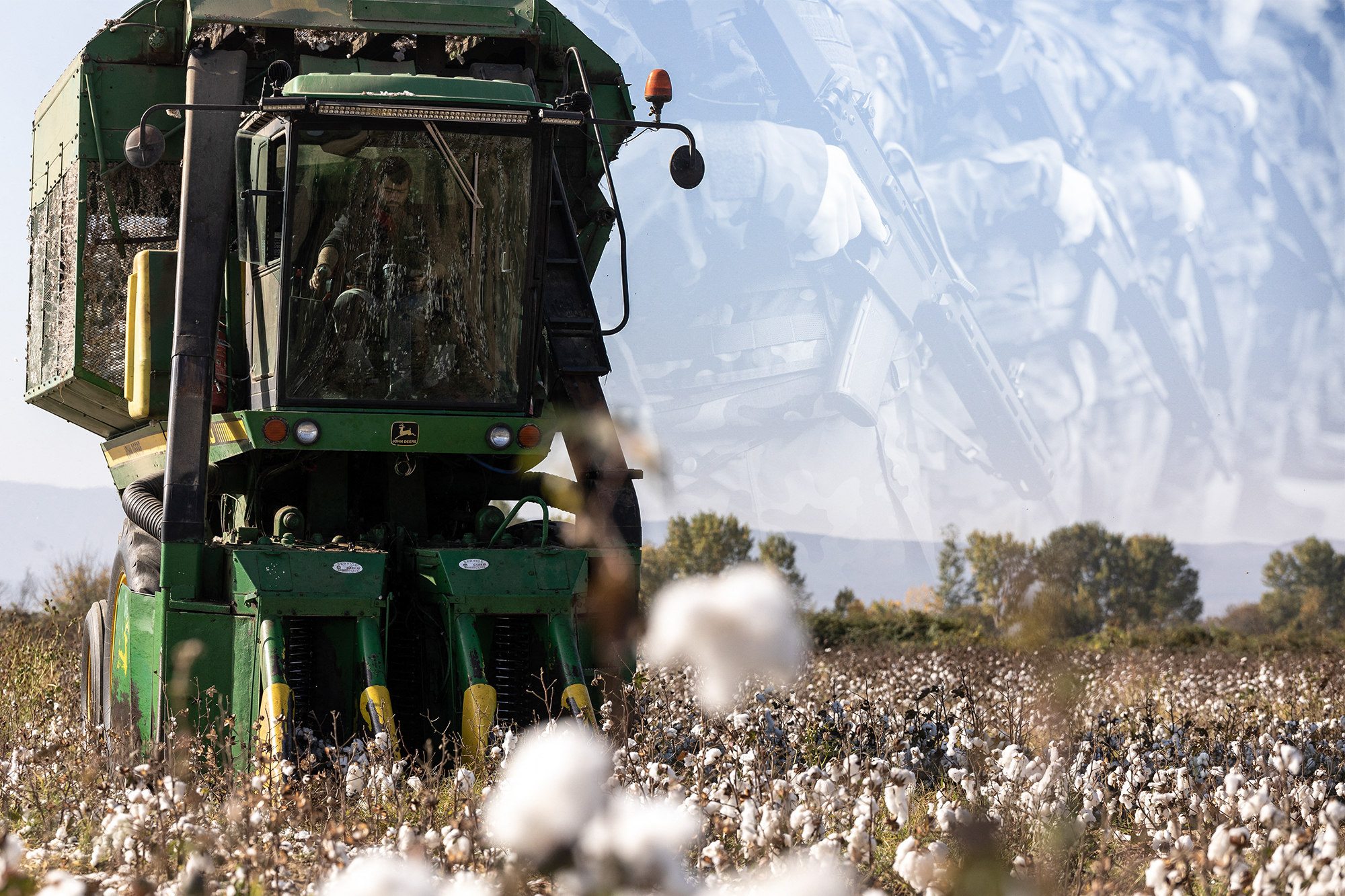 Legătura între culturile de bumbac din România și programul european de reînarmare. Ce experimente se fac în România