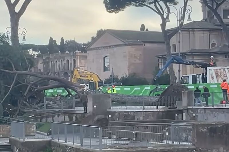 VIDEO „A fost aruncat la câțiva metri!”. Un turist român și alte două persoane, rănite la Roma după prăbușirea unui pin secular