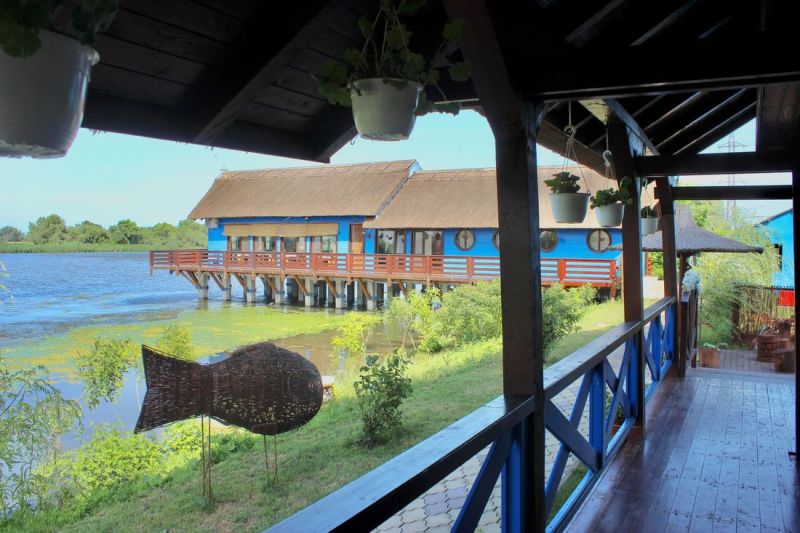 De ce este Delta Dunării o minune naturală care merită explorată?