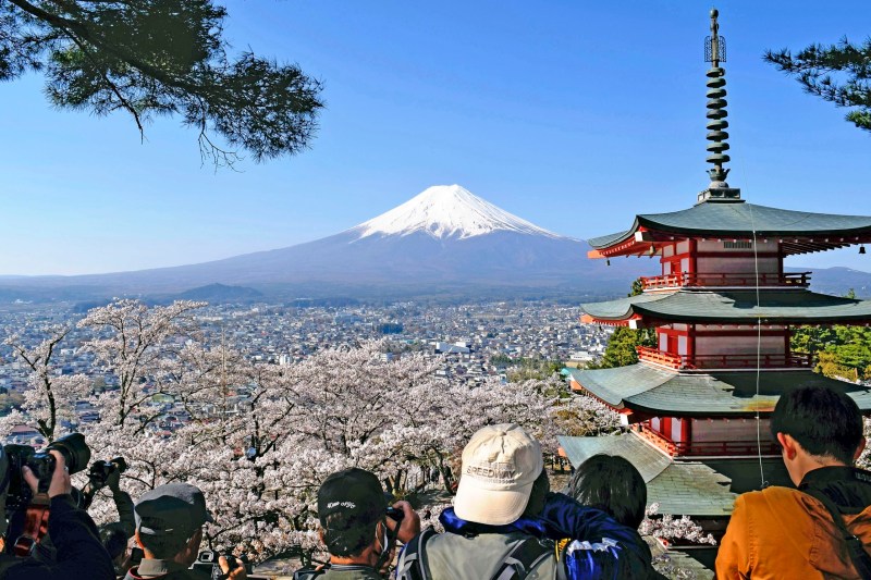 Turiștii care i-au șocat pe localnici fac un oraș japonez să își anuleze celebrul festival al înfloririi cireșilor