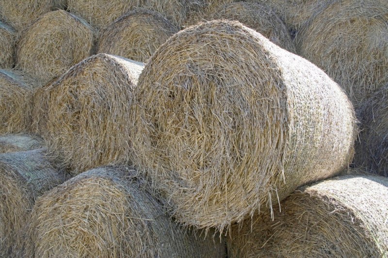 Un copil de 7 ani a murit după ce a fost lovit de un balot de fân, în judeţul Sibiu