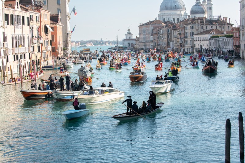 Criză fără precedent în Veneția: Invazia speciilor „canibale” care distrug echilibrul lagunei