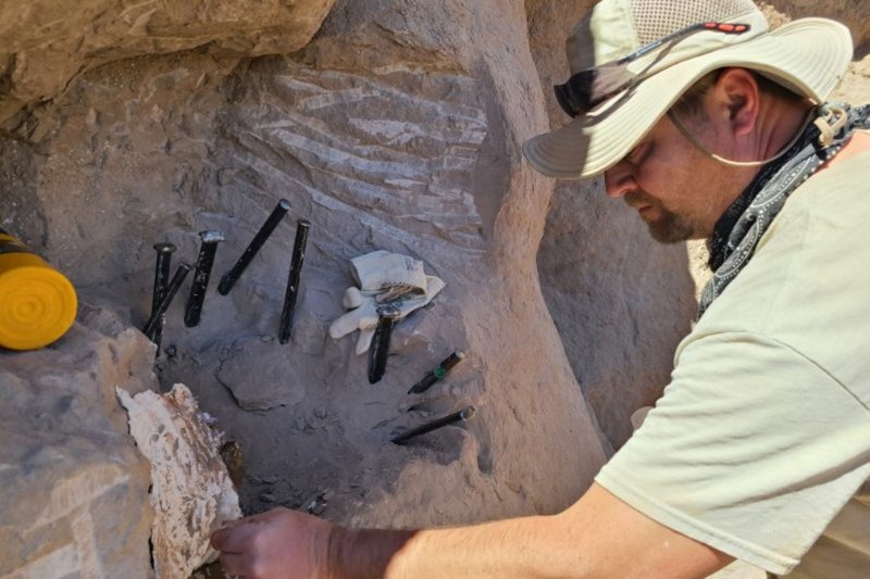 FOTO Paleontologii au descoperit o fosilă „excepțională” a unuia dintre cei mai mici dinozauri care au trăit vreodată