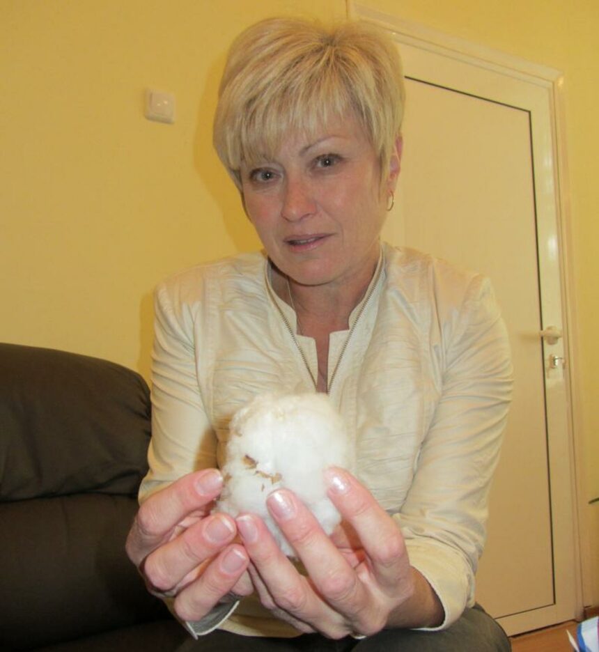 Neli Valkova. Foto: Institutul de Culturi de Câmp din Chirpan