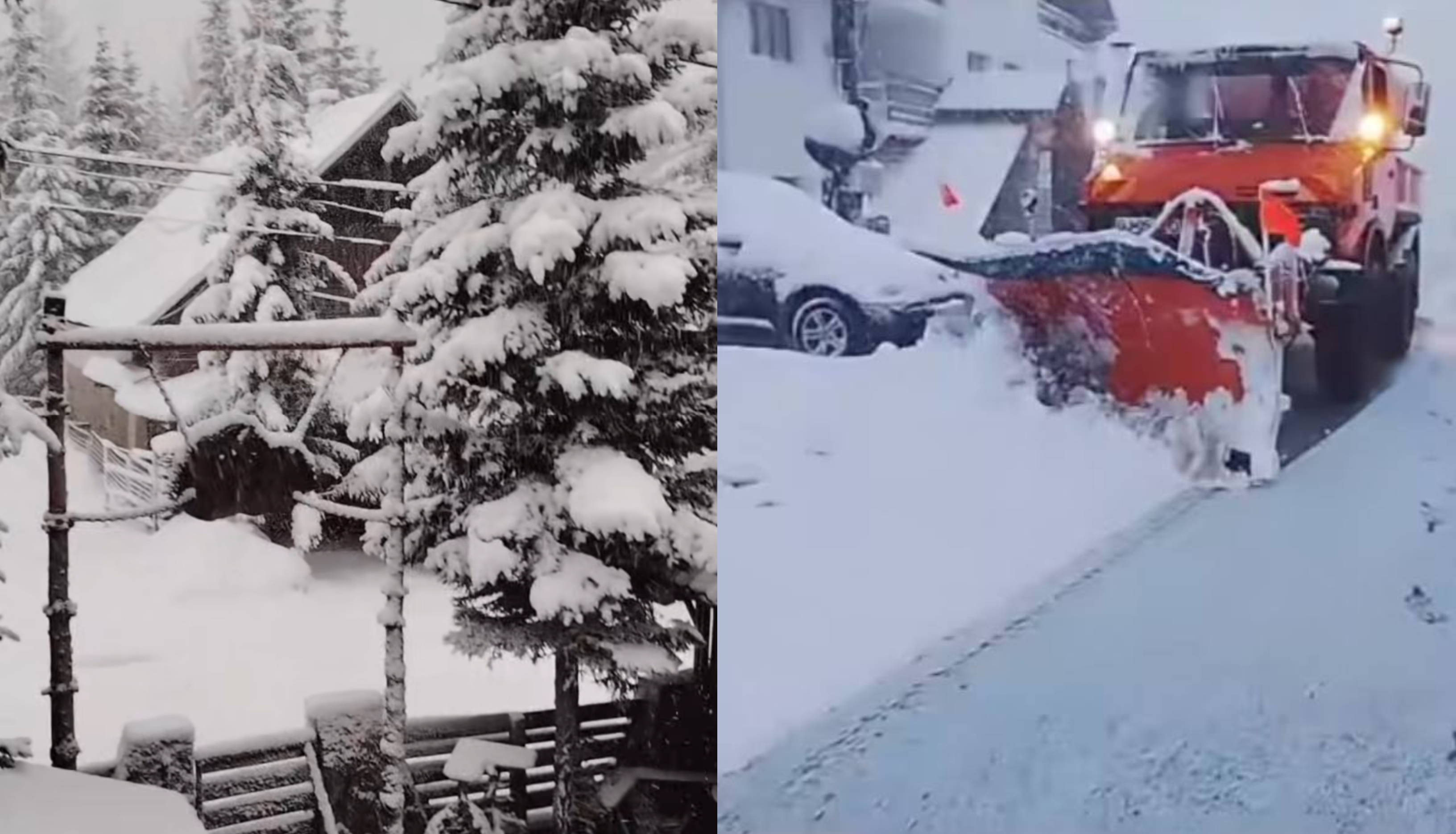 VIDEO Ninsori puternice în mai multe județe. Strat de zăpadă de peste 35 de centimetri în unele zone