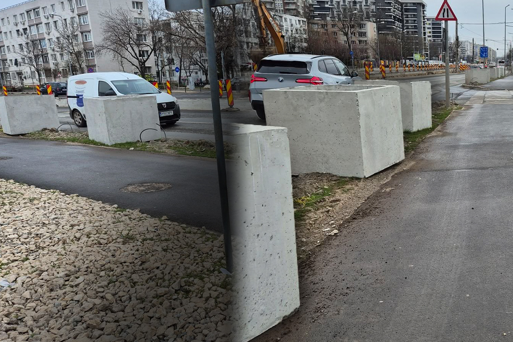 Zeci de jardiniere din beton, catalogate ca „monstruoase