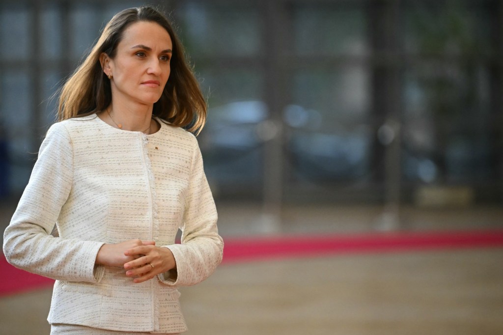 Oana Țoiu, ministra Afacerilor Externe Foto: Profimedia