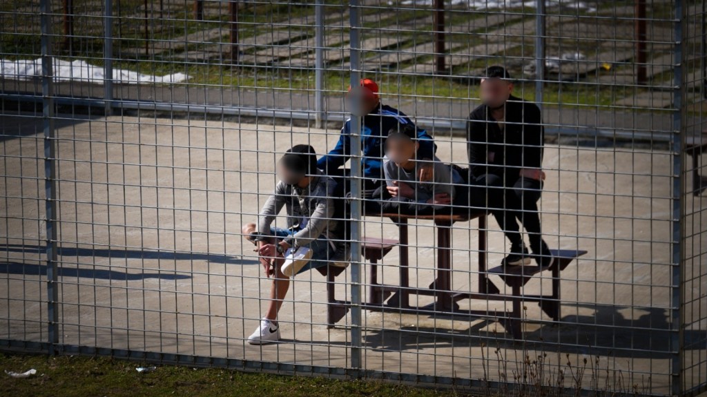 Curtea împrejmuită / Adi Iacob (HotNews)