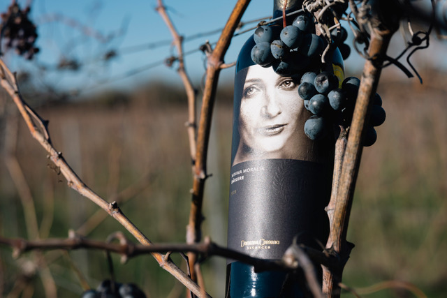 Două vinuri de la Domeniul Coroanei Segarcea, considerate perfecte la prestigioasa competiție Femmes et Vins du Monde din Monaco