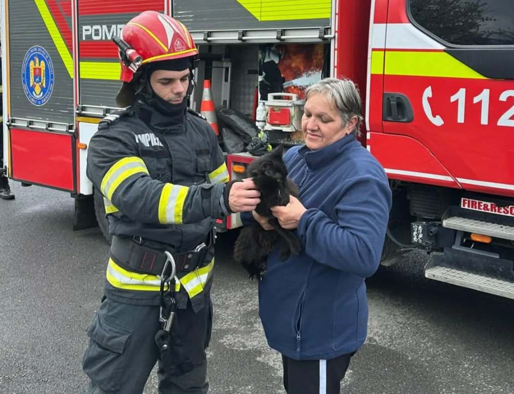 Pisică salvată de pompieri / Foto: ISU Iași