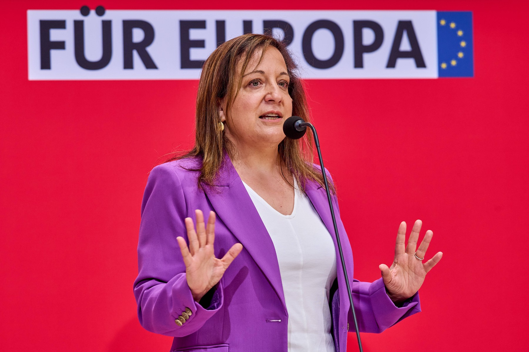 Lidera social-democraților din Parlamentul European, declarație de susținere pentru PSD după anunțul depunerii moțiunii de cenzură