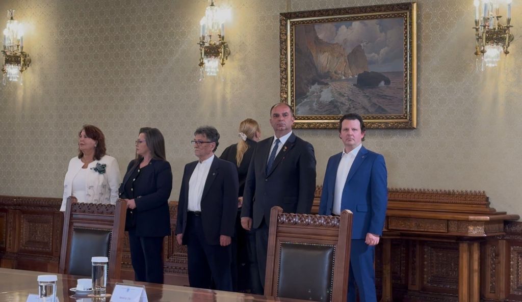 Diana Șoșoacă se uită la un tablou înainte de consultările dintre delegația S.O.S România și președintele Nicușor Dan