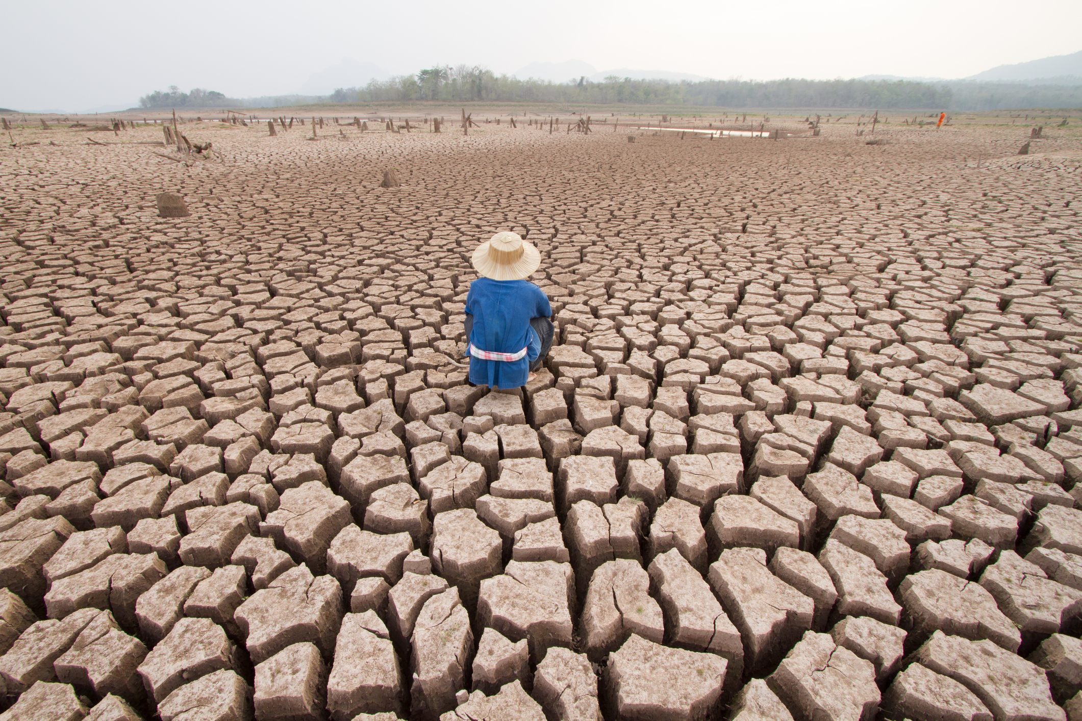 ONU: temperaturile globale ar putea atinge niveluri fără precedent până în 2030