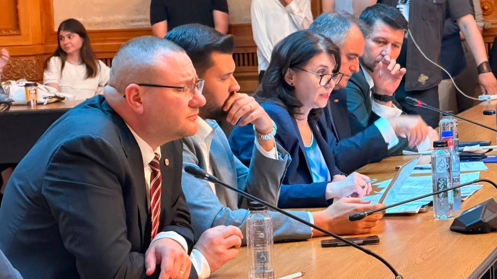 Monica Anisie, propunerea pentru Educație, la audierile din Comisia parlamentară