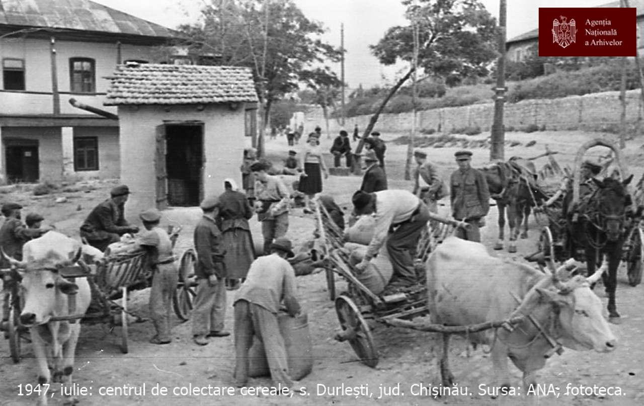 INTERVIU „Oamenii mureau pe străzi și mâncau coajă de copac”. Ce a fost foametea din 1946-1947, care va fi declarată crimă împotriva umanității de Parlamentul de la Chișinău