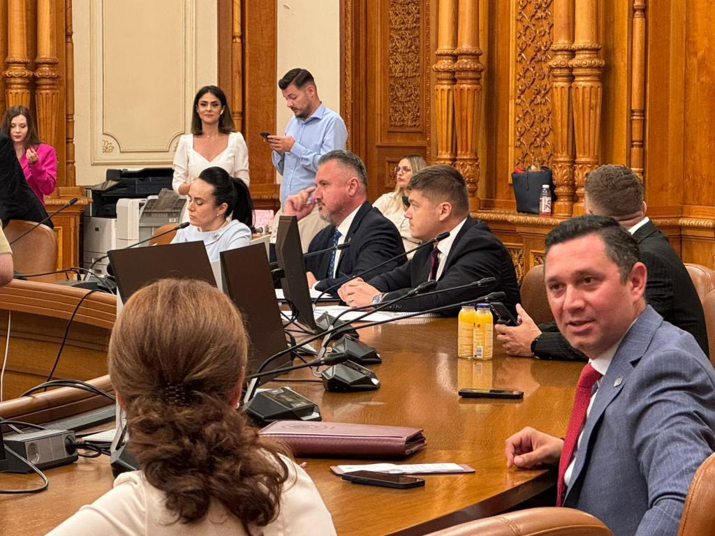 Poza pentru articolul LIVE Guvernul Veștea se votează astăzi. Zi maraton în Parlament, unde miniștrii sunt audiați pe repede înainte / „Dragi colegi, lăsăm politica deoparte”