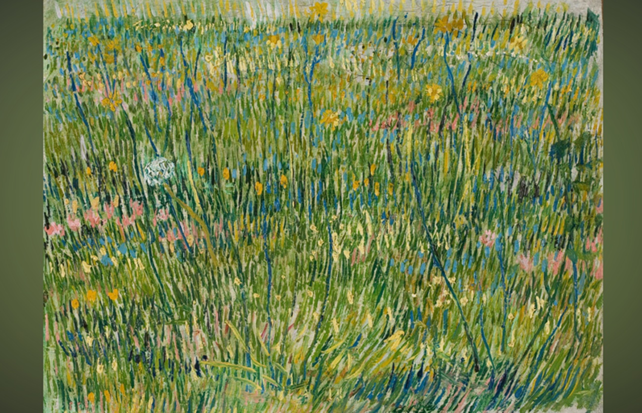 Tabloul lui Van Gogh „Coin d’herbe” ascunde un chip