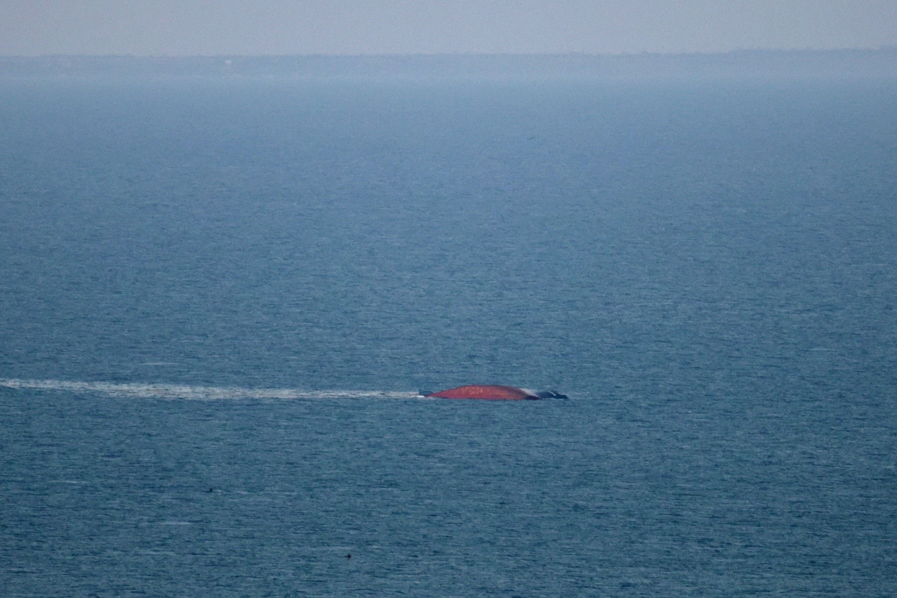 Navă sub pavilion Palau, scufundată după atac rusesc în Marea Neagră