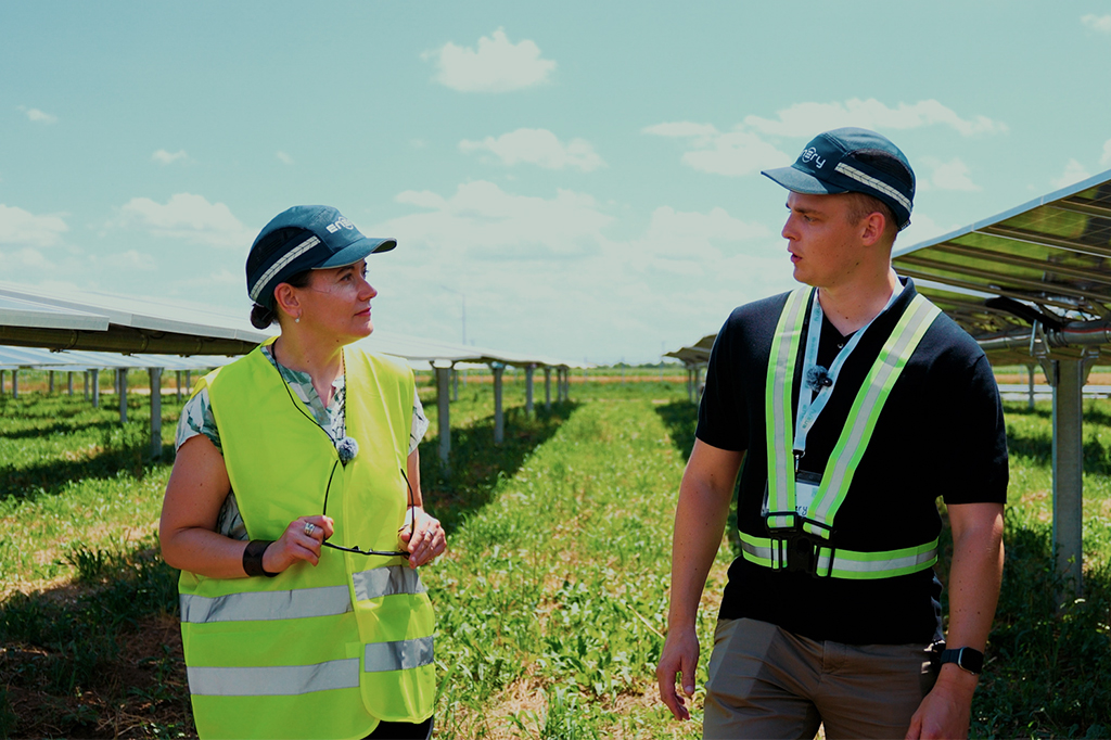 VIDEO În interiorul unui parc solar care produce energia necesară unui oraș cât Alexandria, Târgoviște sau Slobozia. Ce câștigă românii din zecile de proiecte fotovoltaice aflate în dezvoltare
