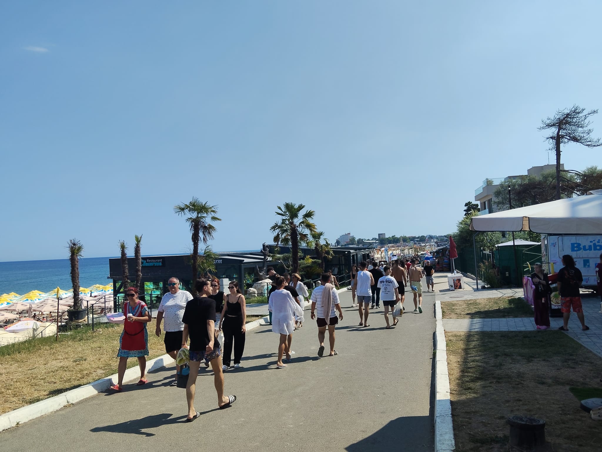 Viața adolescentilor în afara festivalului Beach, Please!