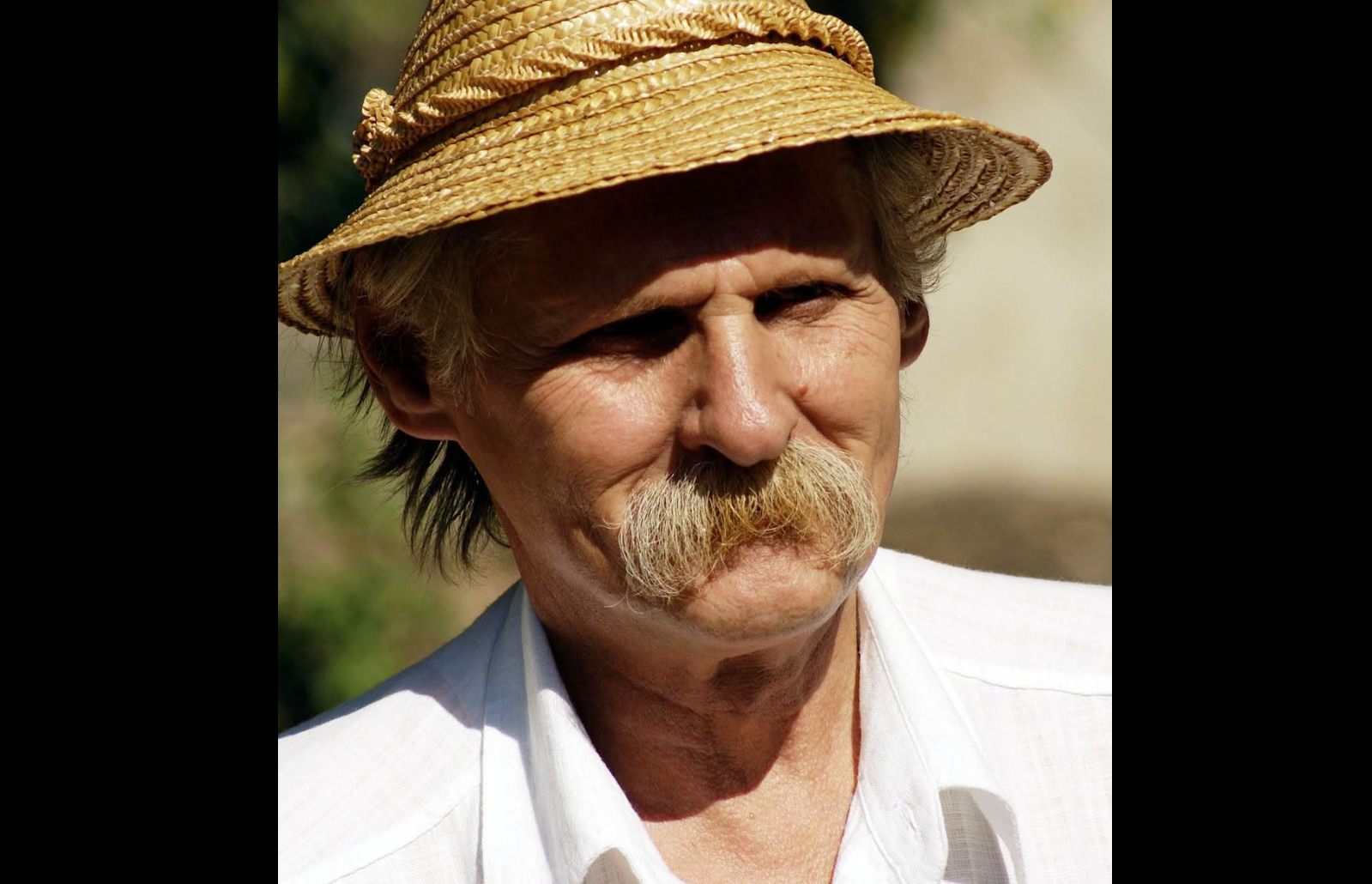 A murit Constantin Mircea Pătrașcu, specialist important al Muzeului Satului