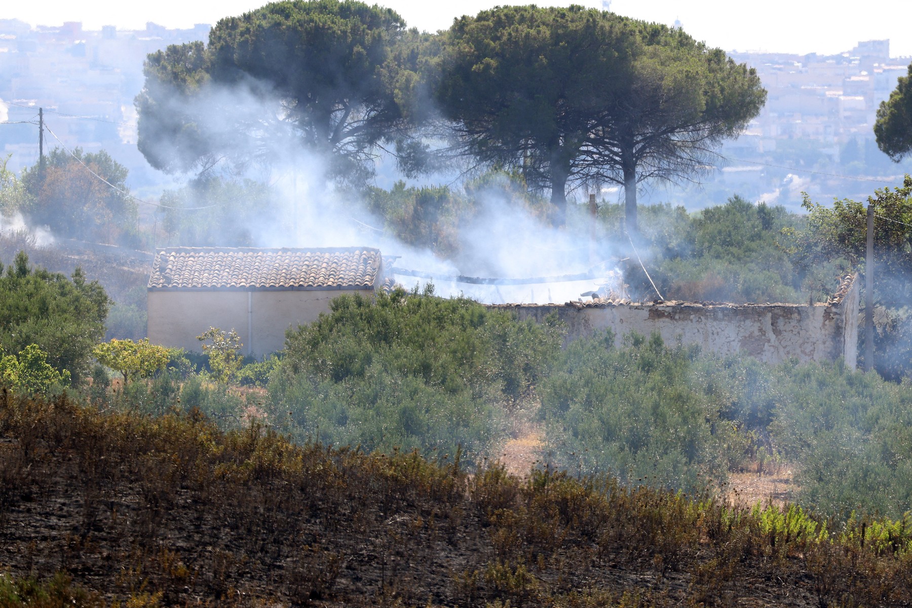 MAE emite alertă de călătorie pentru Italia din cauza incendiilor
