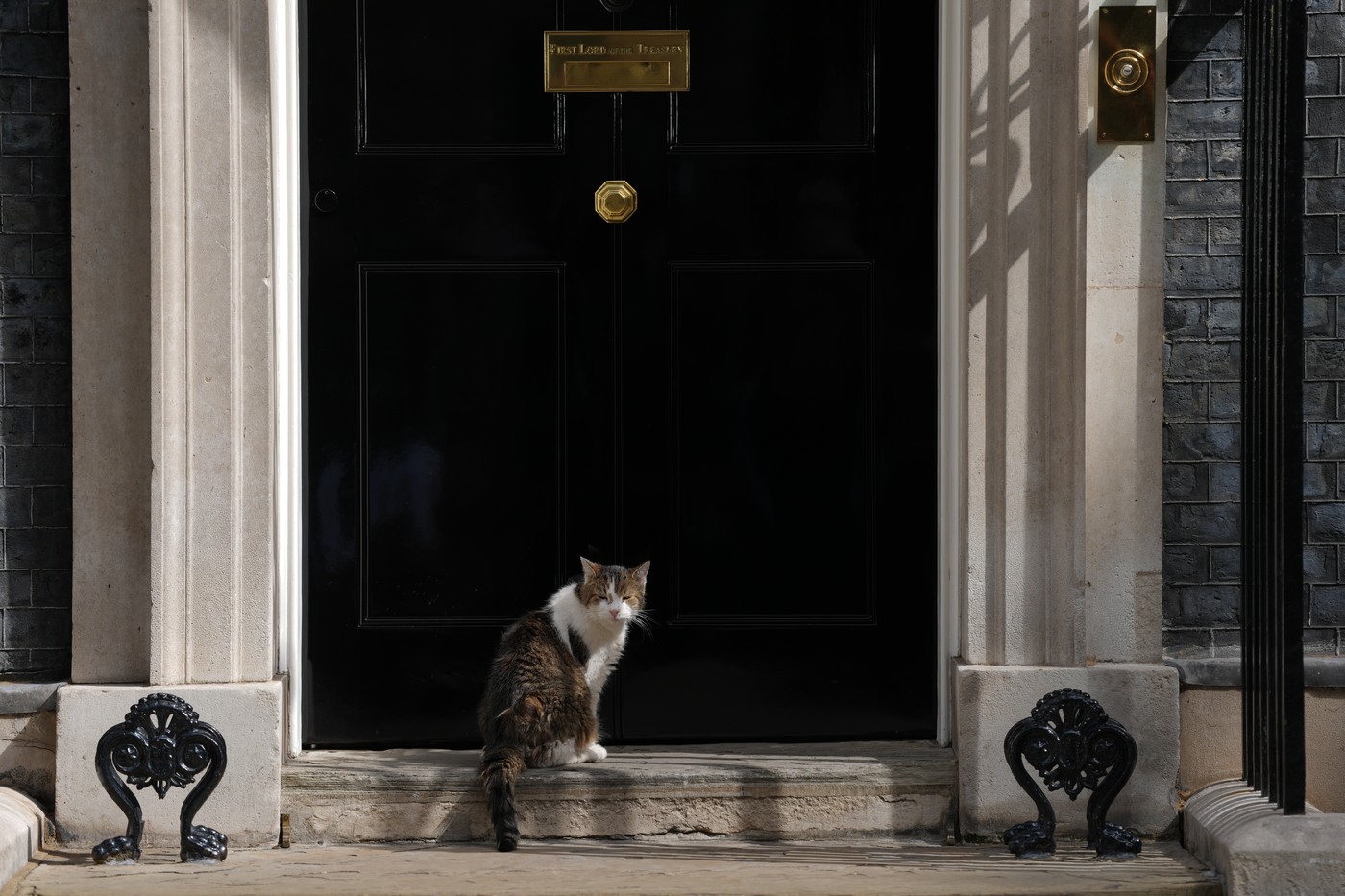 Mesajul apărut pe contul motanului Larry. Instrucțiunile clare transmise noului premier britanic