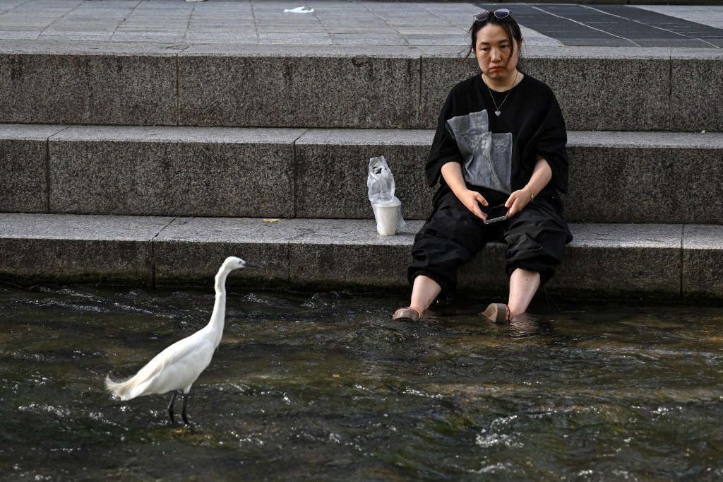 Temperatură record în Coreea de Sud, care a ridicat alerta la nivelul maxim nou-creat anul acesta. Recomandările pentru cetățeni