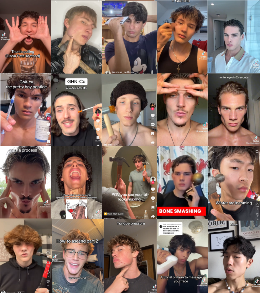 Influenceri de looksmaxxing pe rețelele de socializare / Foto: Captură de ecran