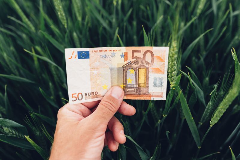AFIR publică ghidul pentru finanțarea fermelor mici, cu proiecte de 50.000 EUR