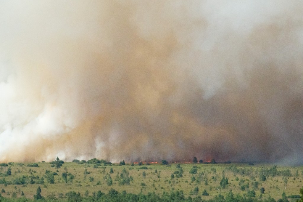 Belgia se confruntă cu cel mai mare incendiu de vegetație din istoria țării și a cerut ajutor de urgență din partea UE